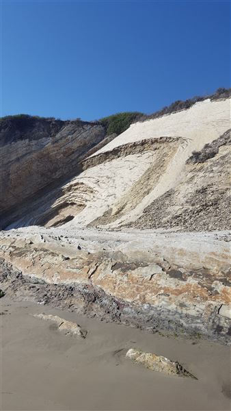 Gaviota State Park (SP) (8/26/2025 - Credits: Jennifer Jackson)
