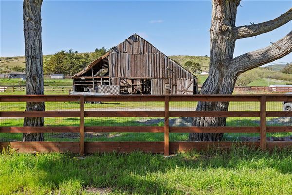 131 Tunitas Creek Rd. (1/1/2024 - Credits: Ashley Kleckner)