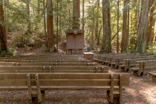 Portola Redwoods State Park (SP) (2/24/2016 - Credits: Brian Baer)