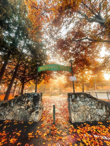 Murphys Main Street (10/21/2025 - Credits: Calaveras Visitors Bureau & Film Commission)