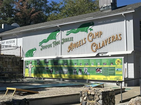 Angels Camp - Frog Jump Exhibit (10/22/2025 - Credits: Calaveras Visitors Bureau & Film Commission)