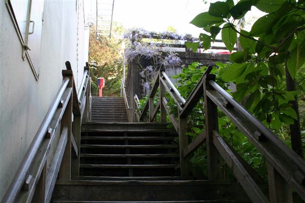 Filbert Steps (10/24/2025 - Credits: San Francisco City & County Film Commission)