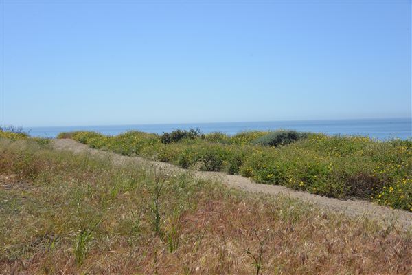 El Pescador State Beach @ Robert H. Meyer Memorial State Beach (SB) - CFC (4/17/2019 - Credits: Leo Fialho)