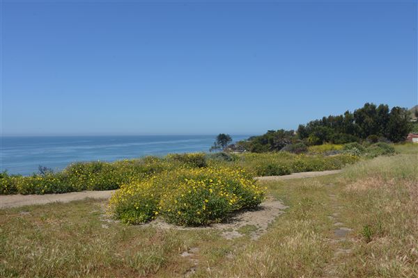 El Pescador State Beach @ Robert H. Meyer Memorial State Beach (SB) - CFC (4/17/2019 - Credits: Leo Fialho)