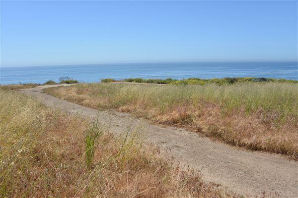 El Pescador State Beach @ Robert H. Meyer Memorial State Beach (SB) - CFC (4/17/2019 - Credits: Leo Fialho)
