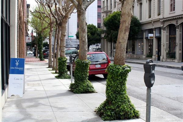 Financial District, San Francisco - Jackson St. (10/29/2025 - Credits: San Francisco City & County Film Commission)