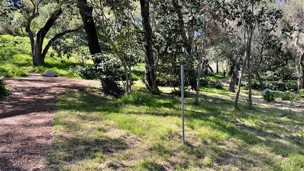Descanso Gardens - Camellia Forest (3/7/2022 - Credits: Leo Fialho)