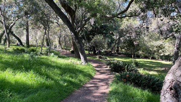 Descanso Gardens - Camellia Forest (3/7/2022 - Credits: Leo Fialho)