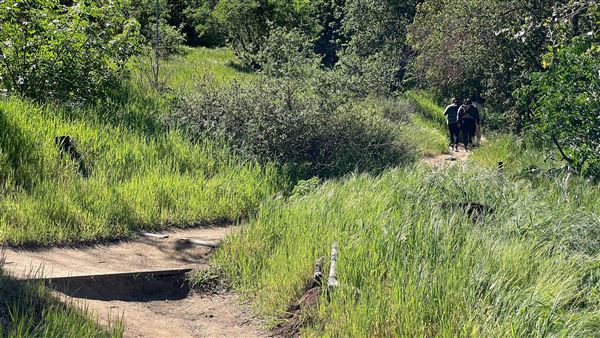 Descanso Gardens - Canyon View (3/7/2022 - Credits: Leo Fialho)