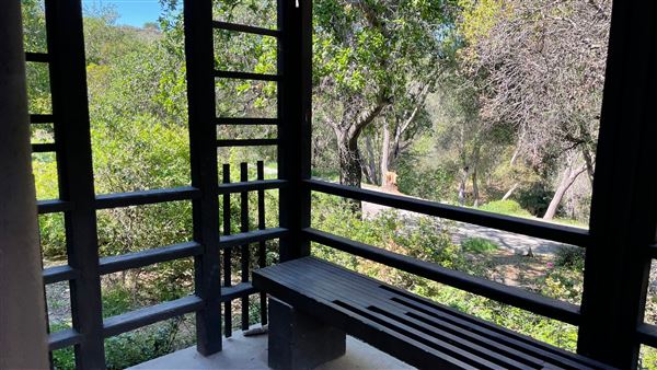 Descanso Gardens - Canyon View (3/7/2022 - Credits: Leo Fialho)