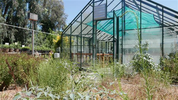 Descanso Gardens - Plant Propagation Greenhouse (7/26/2017 - Credits: Leo Fialho)