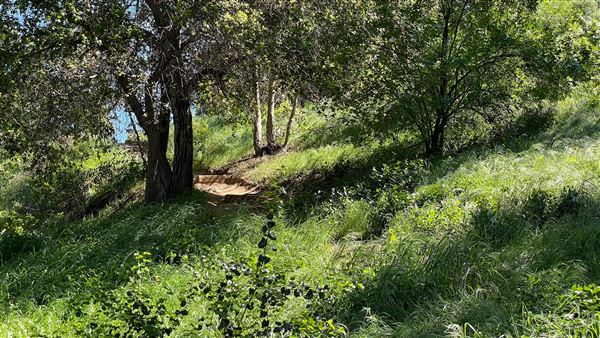 Descanso Gardens - Hopes Garden (3/7/2022 - Credits: Leo Fialho)