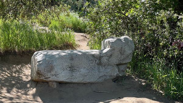 Descanso Gardens - Hopes Garden (3/7/2022 - Credits: Leo Fialho)