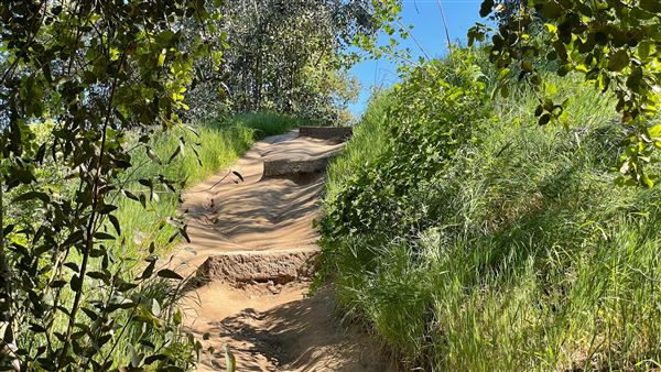Descanso Gardens - Hopes Garden (3/7/2022 - Credits: Leo Fialho)