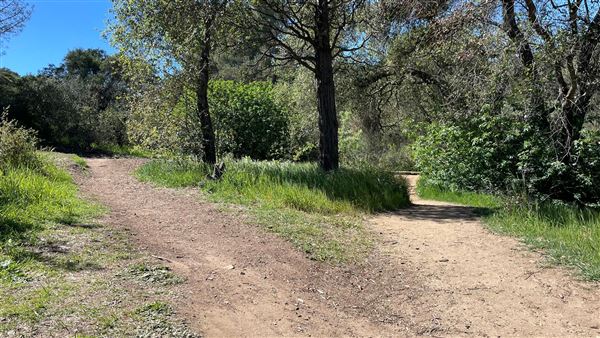 Descanso Gardens - Lake (3/7/2022 - Credits: Leo Fialho)