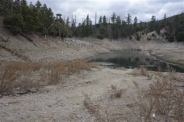 Crystal Lake Recreation Area / Campground - Angeles National Forest (1/30/2015 - Credits: Leo Fialho)