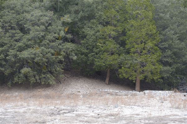 Crystal Lake Recreation Area / Campground - Angeles National Forest (1/30/2015 - Credits: Leo Fialho)