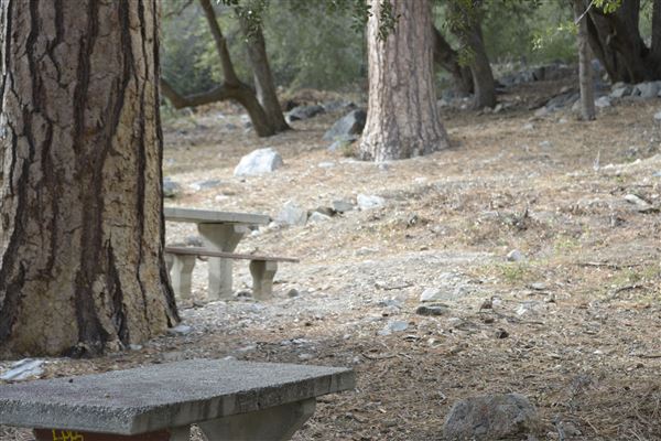 Crystal Lake Recreation Area / Campground - Angeles National Forest - Picnic Area (1/30/2015 - Credits: Leo Fialho)