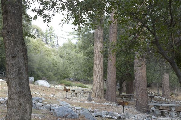 Crystal Lake Recreation Area / Campground - Angeles National Forest - Picnic Area (1/30/2015 - Credits: Leo Fialho)