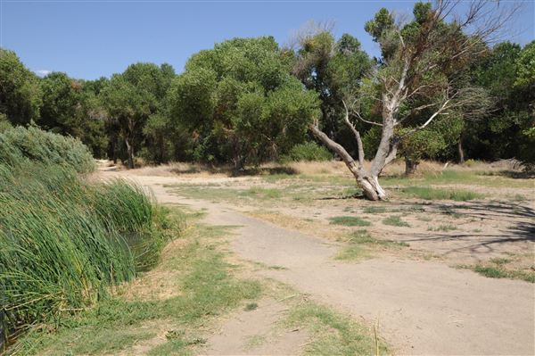 Mojave Narrows Regional Park - Pelican Lake (7/6/2012 - Credits: Leo Fialho)