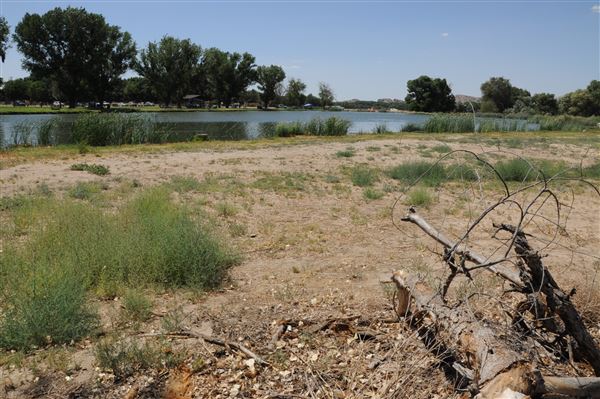 Mojave Narrows Regional Park - Pelican Lake (7/6/2012 - Credits: Leo Fialho)
