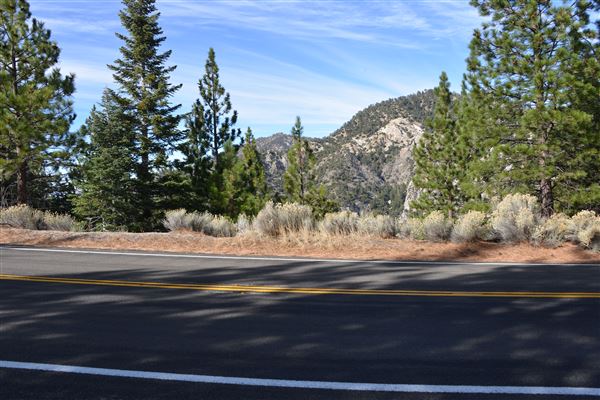 Angeles Crest Highway - SR2 - MM 61.65 (Outside TMZ) (11/16/2016 - Credits: Leo Fialho)
