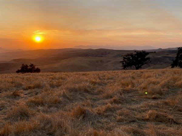 Big Sky Movie Ranch - Roads & Vistas & Forest (11/17/2025 - Credits: Owner)