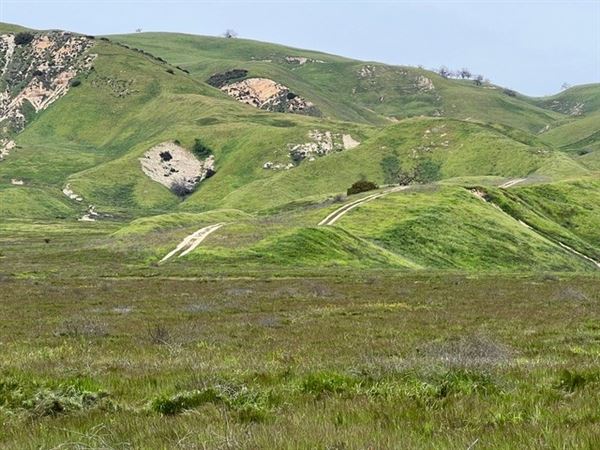 Big Sky Movie Ranch - Roads & Vistas & Forest (11/17/2025 - Credits: Owner)