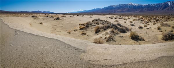 Olancha Sand Dunes - Bureau of Land Management - California Desert District - Ridgecrest Field Office - BLM - Off Highway Vehicle Area - OHV (12/4/2025 - Credits: Jesse Pluim - Bureau of Land Management)