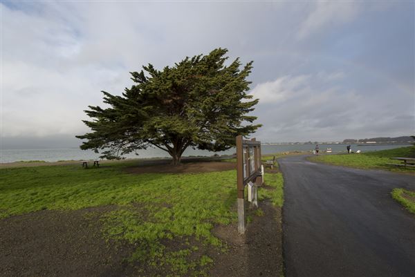 Albany State Marine Reserve - State Lands Commission (SLC) (2/2/2016 - Credits: Brian Baer)