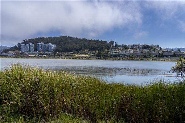 Albany State Marine Reserve - State Lands Commission (SLC) (7/31/2024 - Credits: Brian Baer)
