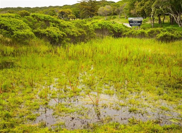 Fort Ord National Monument (12/12/2025 - Credits: Jesse Pluim - Bureau of Land Management)