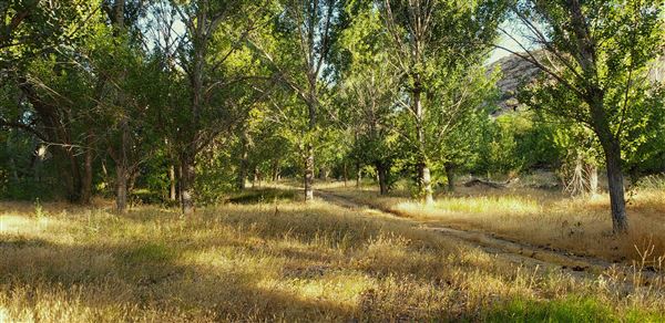 The Painted Turtle Camp - Trails (7/25/2025 - Credits: David Halver)