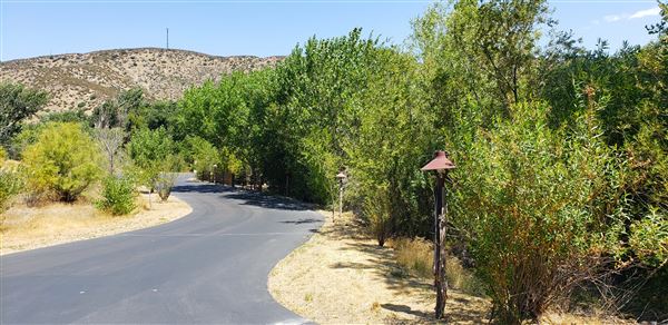 The Painted Turtle Camp - Paved Roads (7/17/2025 - Credits: David Halver)