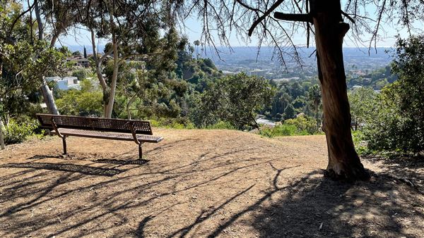 Griffith Park Redwoods - Cedar Grove - Cedar Grove Trail (3/16/2022 - Credits: Leo Fialho)