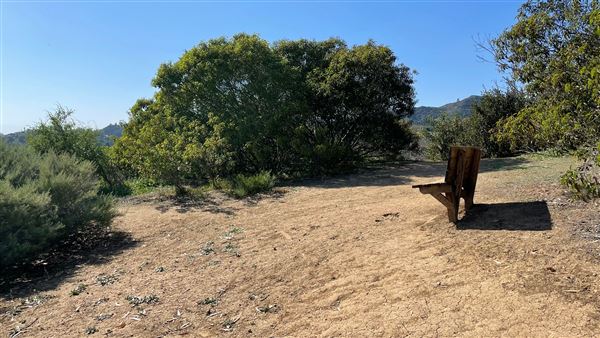 Griffith Park Redwoods - Cedar Grove - Cedar Grove Trail (3/16/2022 - Credits: Leo Fialho)