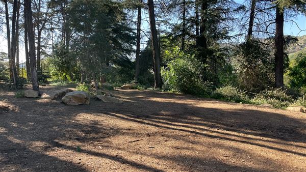 Griffith Park Redwoods - Cedar Grove - Cedar Grove (12/10/2021 - Credits: Leo Fialho)