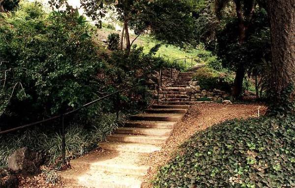 Los Angeles County Arboretum (12/31/2003)