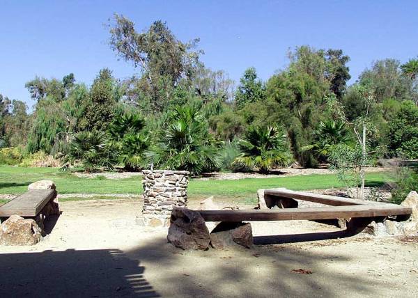 Los Angeles County Arboretum (12/31/2003)