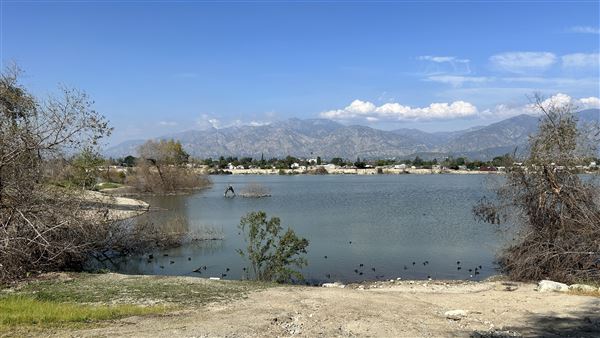 Peck Road Water Conservation Park (2/9/2026 - Credits: Brandy Davis)