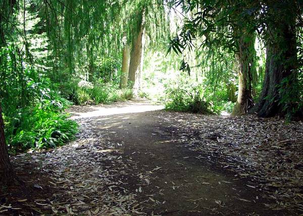 Los Angeles County Arboretum (12/31/2003)