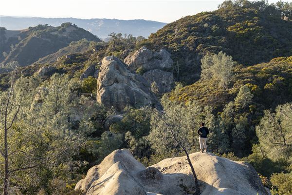 Mount Diablo State Park (SP) (10/22/2024 - Credits: Brian Baer)