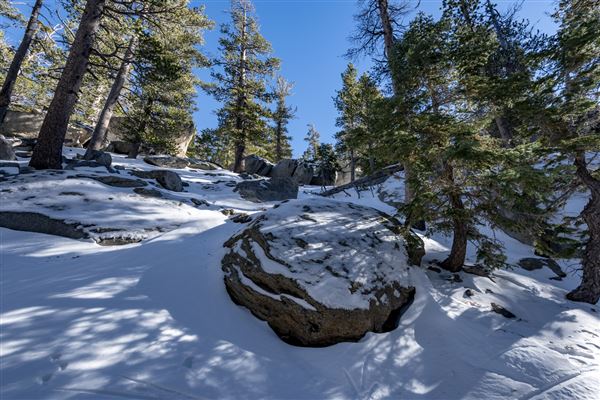 Mount San Jacinto State Park (SP) & Palm Springs Aerial Tramway (12/4/2018 - Credits: Brian Baer)