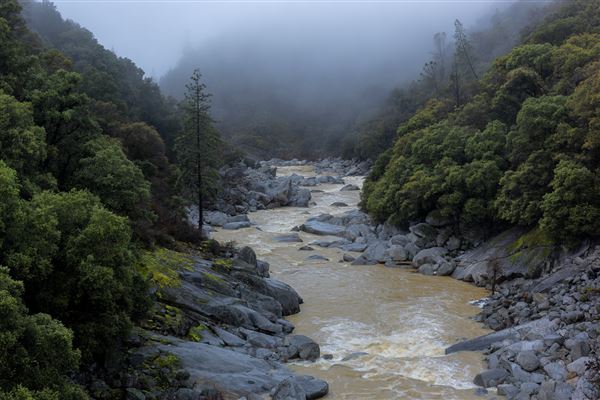 South Yuba River State Park (SP) (1/10/2019 - Credits: Brian Baer)