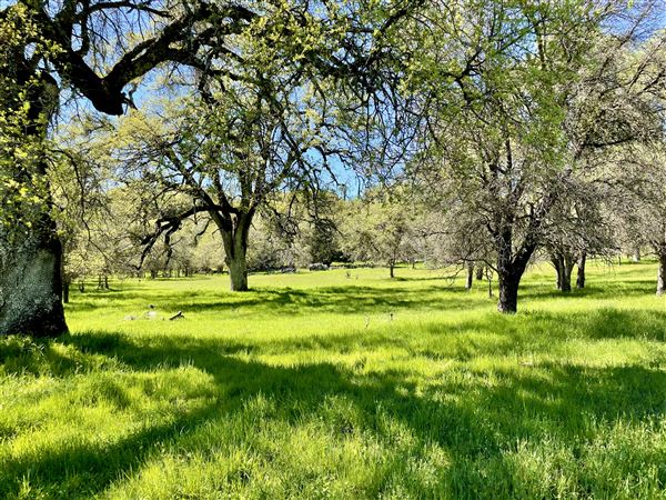 Aukum Ranch (3/20/2026 - Credits: Jon Masters)