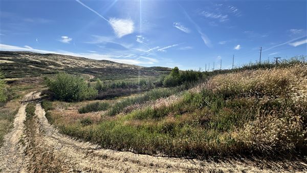 Alberhill Quarry (3/28/2026 - Credits: Brandy Davis)