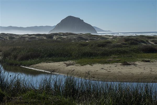 Morro Strand State Beach (SB) (12/1/2021 - Credits: Brian Baer)