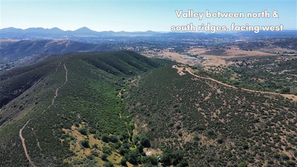 Double D Acres (4/6/2026 - Credits: Denise Dawley)