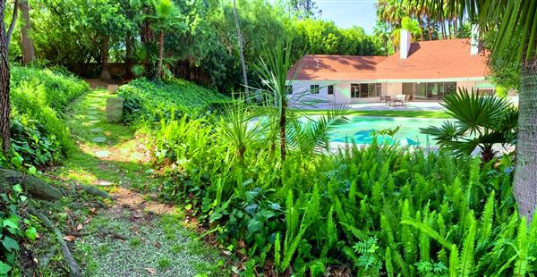 Vintage Hollywood Vibes – Secluded Palm-Lined Mid-Century Pool Oasis Wrapped In Lush Greenery – A Filmmaker’s Dream! (4/5/2025 - Credits: Elegant Textiles, Inc.)