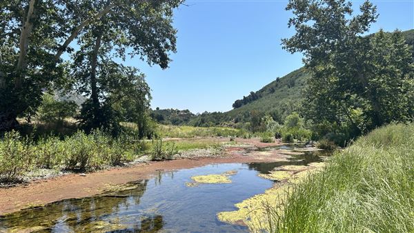 Peter Strauss Ranch - National Park Service (NPS) (5/8/2026 - Credits: Brandy Davis)